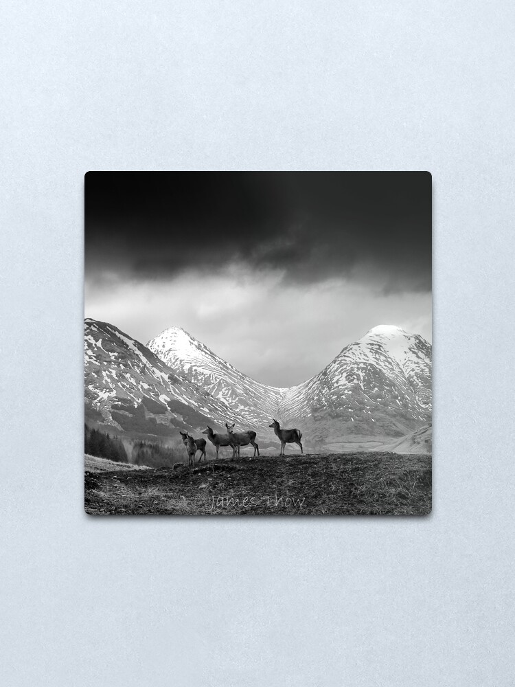 Alternate view of In the hills Metal Print