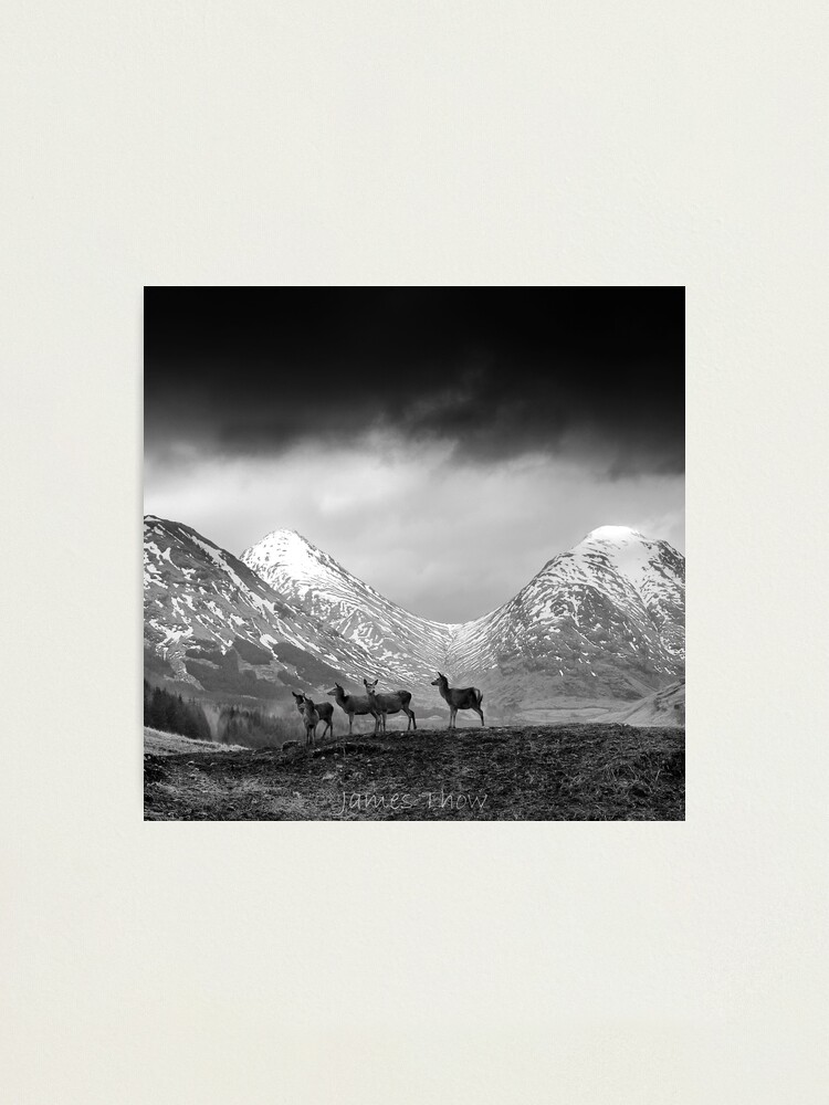 Alternate view of In the hills Photographic Print