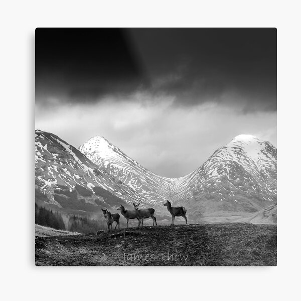 In the hills Metal Print