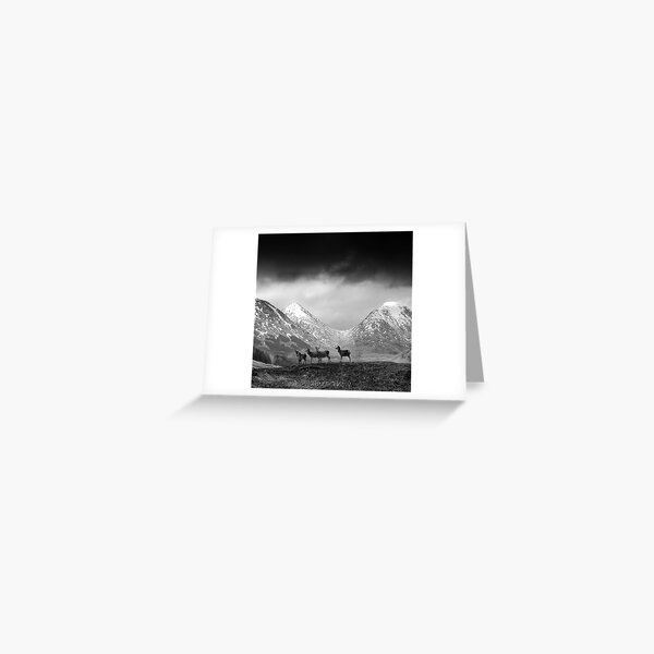 In the hills Greeting Card