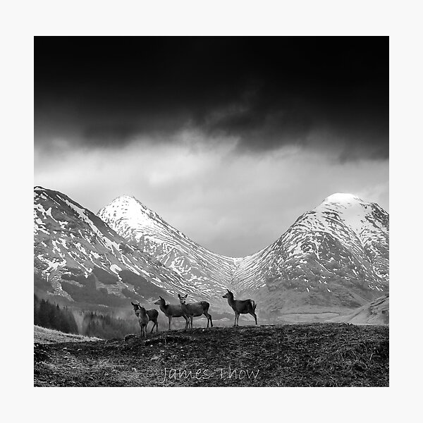 In the hills Photographic Print