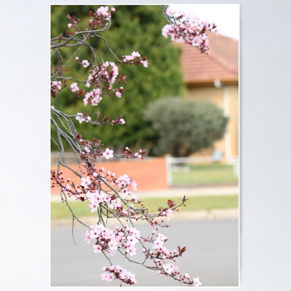 Item preview, A Delicate Frame Of Blossom designed and sold by Laura K Wright.