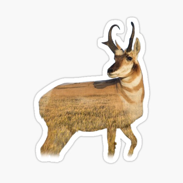 Item preview, Pronghorn designed and sold by tjbrock2.