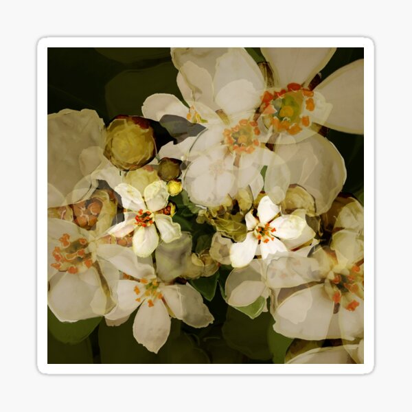 Alhambra Blossom II Sticker