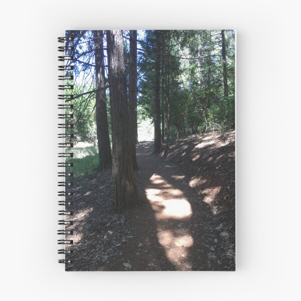 Item preview, Sunshine on trail designed and sold by Rita Kindle.