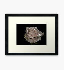 Stars in the Crown 2 Framed Print