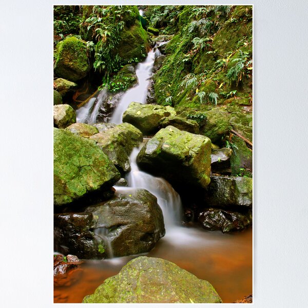 Item preview, Rainforest Falls designed and sold by Paul Earl.
