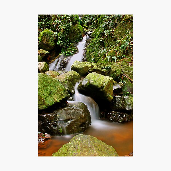 Item preview, Rainforest Falls designed and sold by Paul Earl.