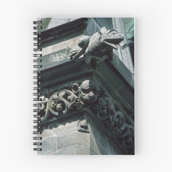Aperçu de l'œuvre Frog Gargoyle on roof Nidaros Cathedral Trondheim Norway 19840622 0030 créée et vendue par Fred Mitchell.