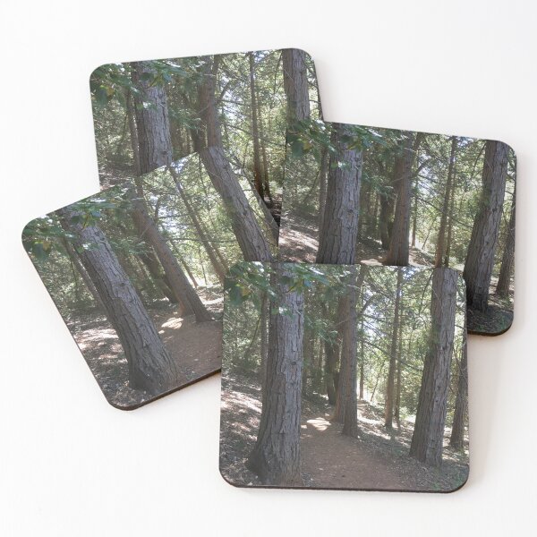 Item preview, Trail awaits walkers in the woods designed and sold by Rita Kindle.
