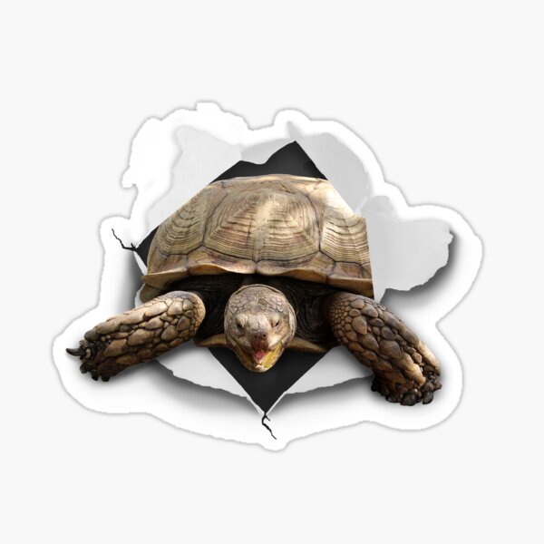 Item preview, Sulcata Burst designed and sold by misimichu.