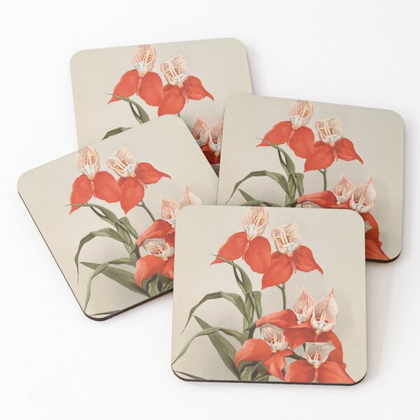 Item preview, Antique botany: drawing of beautiful red flower (orchid Disa grandiflora) designed and sold by AntiqueScience.