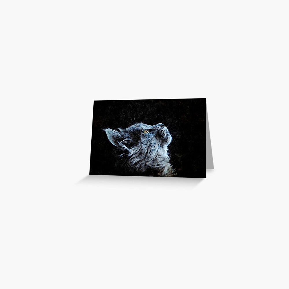 Grey Cat Greeting Card