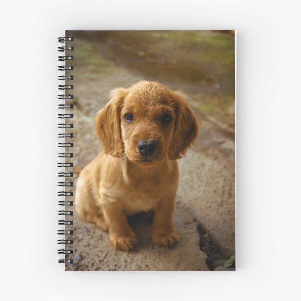 Item preview, Cocker Spaniel Puppy designed and sold by kristiART.