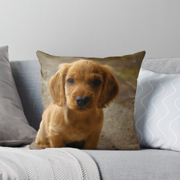 Aperçu de l'œuvre Cocker Spaniel Puppy créée et vendue par kristiART.