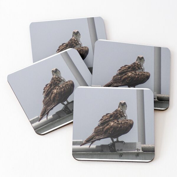 Item preview, Osprey aboard a ship designed and sold by mainlyruby.
