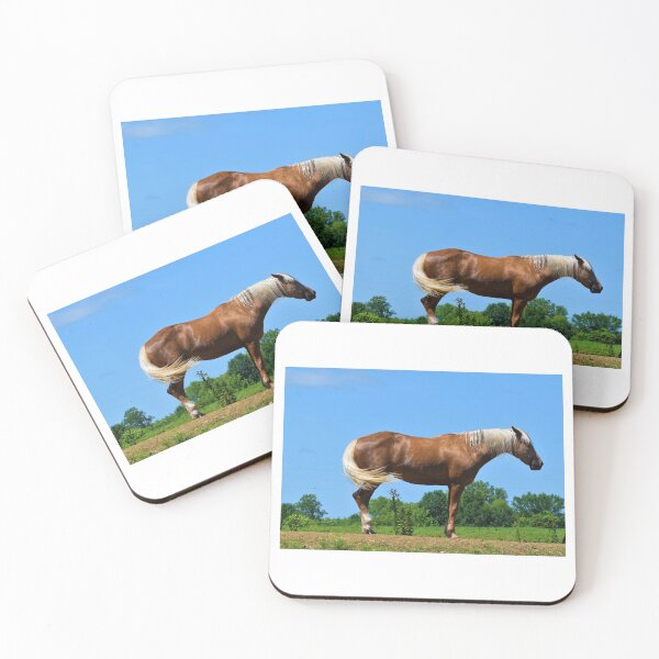 Item preview, Horse Profile designed and sold by SEEphotos7171.