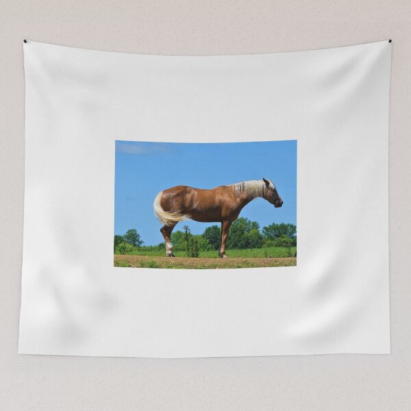 Item preview, Horse Profile designed and sold by SEEphotos7171.