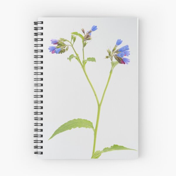 Item preview, Comfrey designed and sold by ccullen222.