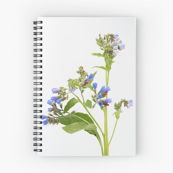 Item preview, Comfrey designed and sold by ccullen222.