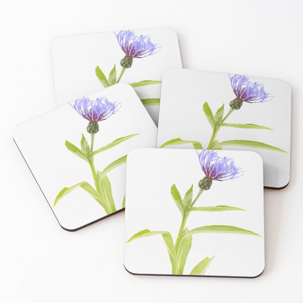 Item preview, Perpetual Cornflower designed and sold by ccullen222.
