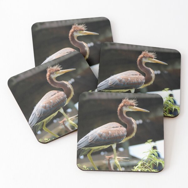 Item preview, wading bird spotted in florida designed and sold by mainlyruby.