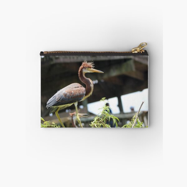 Item preview, wading bird spotted in florida designed and sold by mainlyruby.