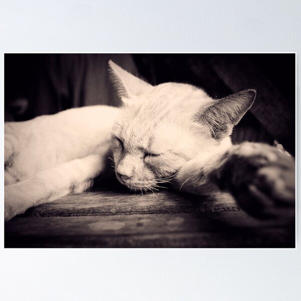 Item preview, A Nap designed and sold by lokanin.