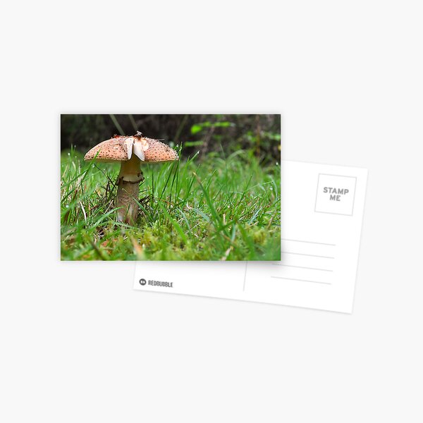 Item preview, Mushroom on the Grass designed and sold by monkeypolice.
