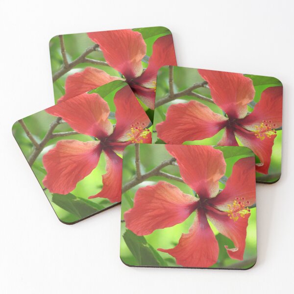 Item preview, Red Hibiscus Flower Photo designed and sold by abacoian.