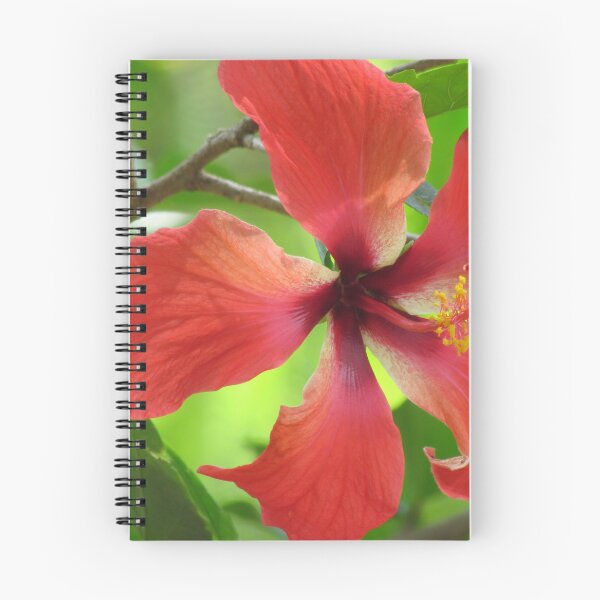 Item preview, Red Hibiscus Flower Photo designed and sold by abacoian.