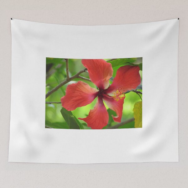 Item preview, Red Hibiscus Flower Photo designed and sold by abacoian.