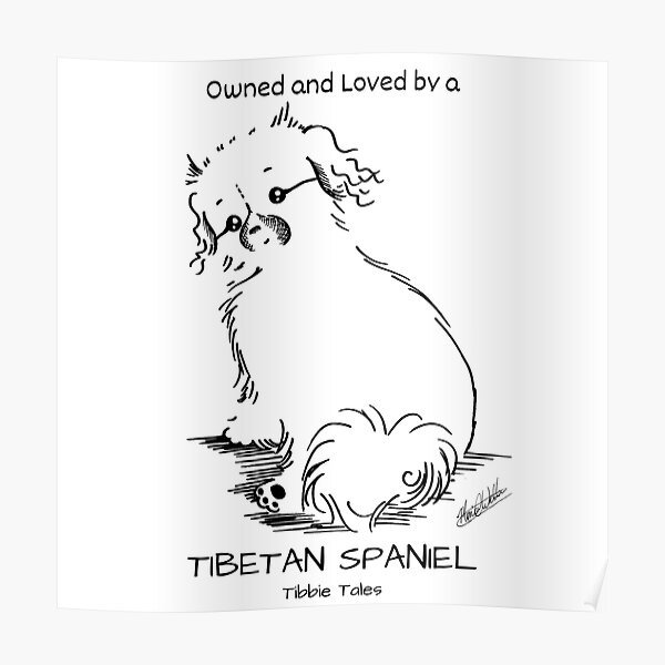 Owned and Loved by a Tibetan Spaniel Poster