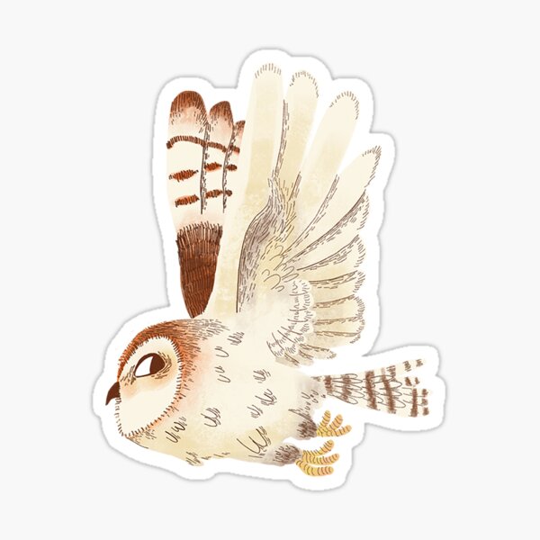 Barn Owl  Sticker
