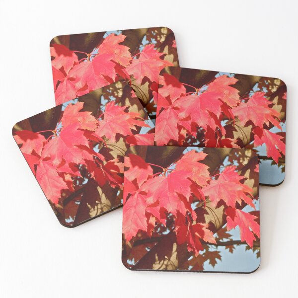 Item preview, Autumn in Washington.. designed and sold by RichImage.