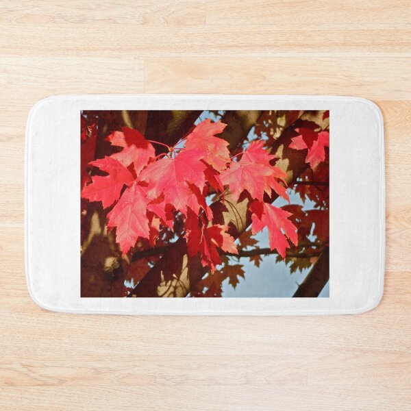 Item preview, Autumn in Washington.. designed and sold by RichImage.