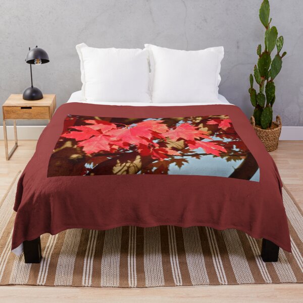 Item preview, Autumn in Washington.. designed and sold by RichImage.