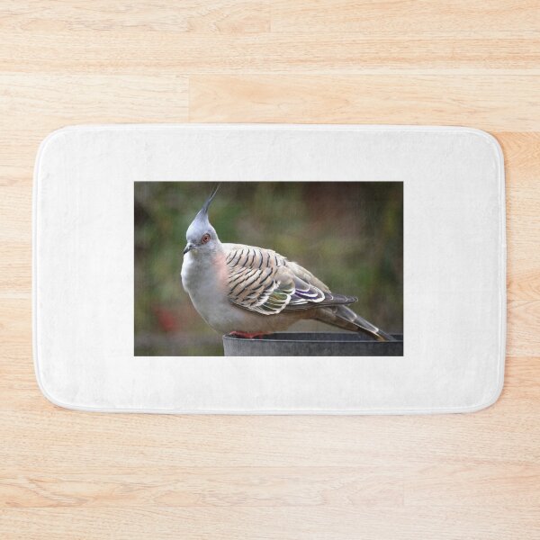 Item preview, There are Pigeons and then there are Crested Pigeons designed and sold by Larry Davis.