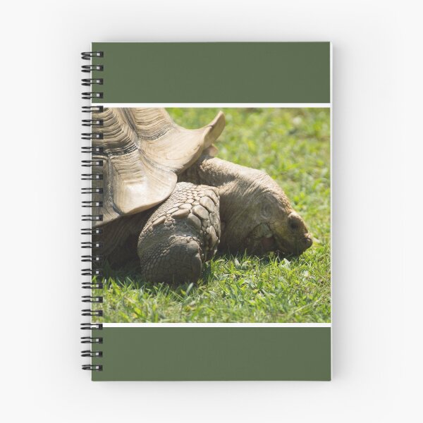 Item preview, Tortoise Lunch designed and sold by LizardSpirit.