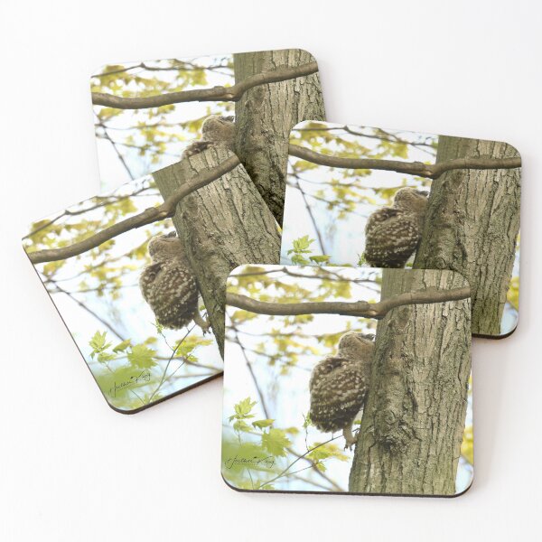 Item preview, Baby Owls Can Climb Trees designed and sold by locustgirl.