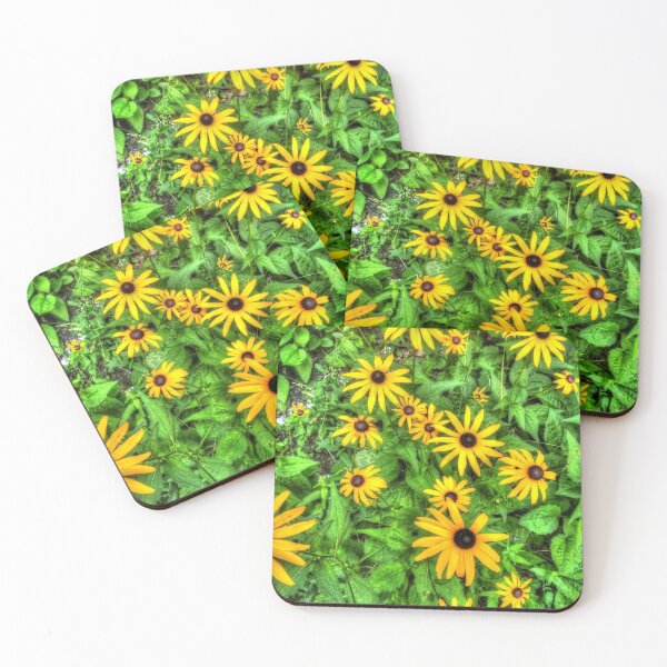 Artikelvorschau, Black-Eyed Susans in ihrem Ruhm entworfen und verkauft von James Brotherton.