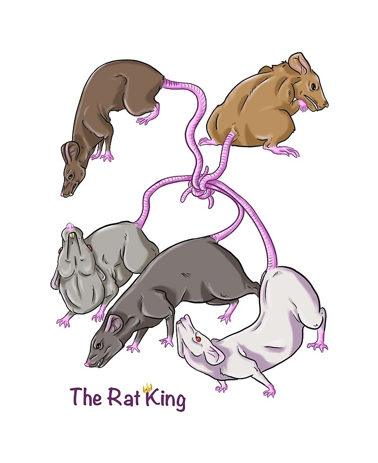 Rat King/dark Academia/cottage Core/rat/witchy Room (Instant Download) 