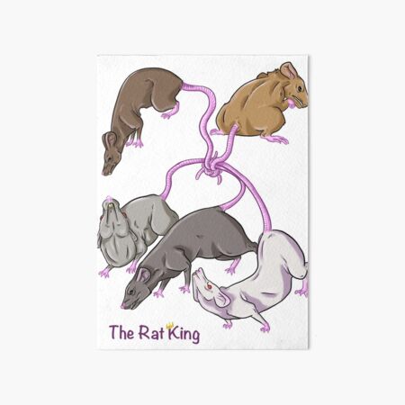 48 Cursed rats ideas  rats, cute rats, rat king