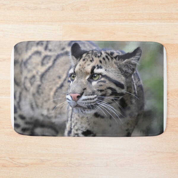 Item preview, Clouded Leopard designed and sold by Savannah Gibbs.