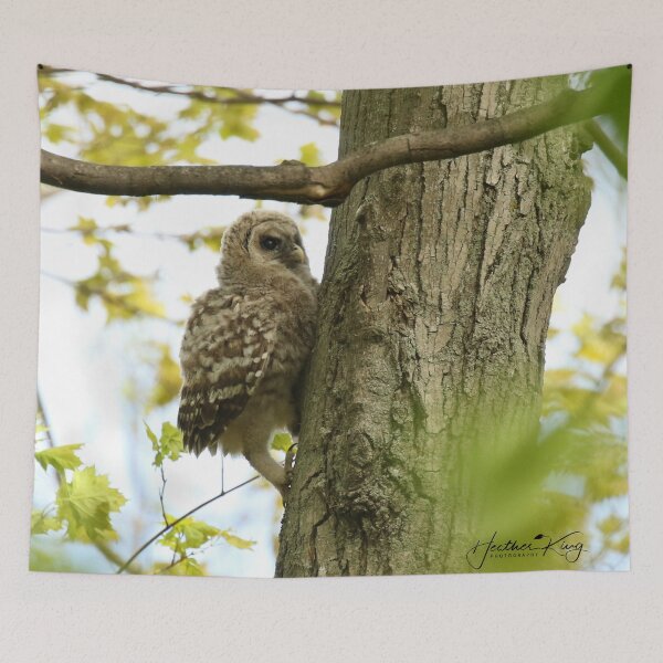 Item preview, Tree Climber designed and sold by locustgirl.