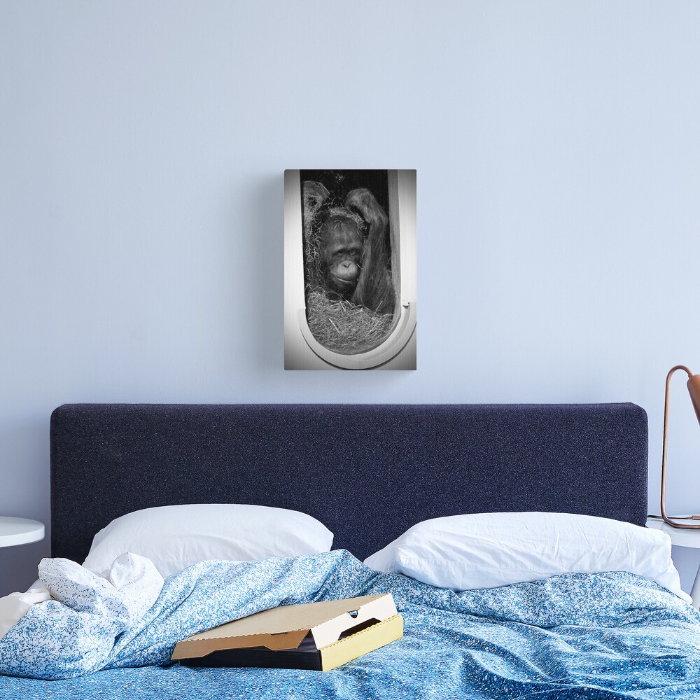 Help! Canvas Print
