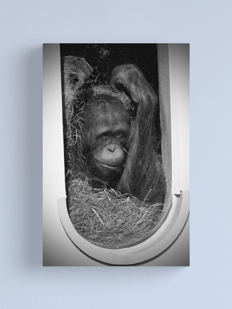 Alternate view of Help! Canvas Print