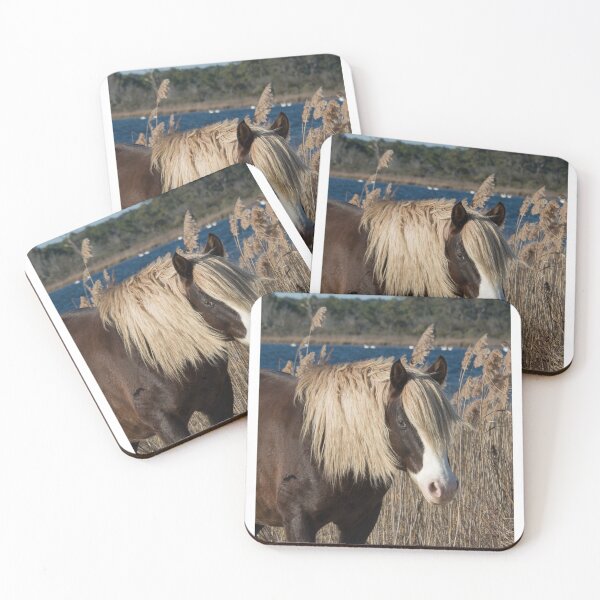 Item preview, Asseteague pony designed and sold by searchlight.