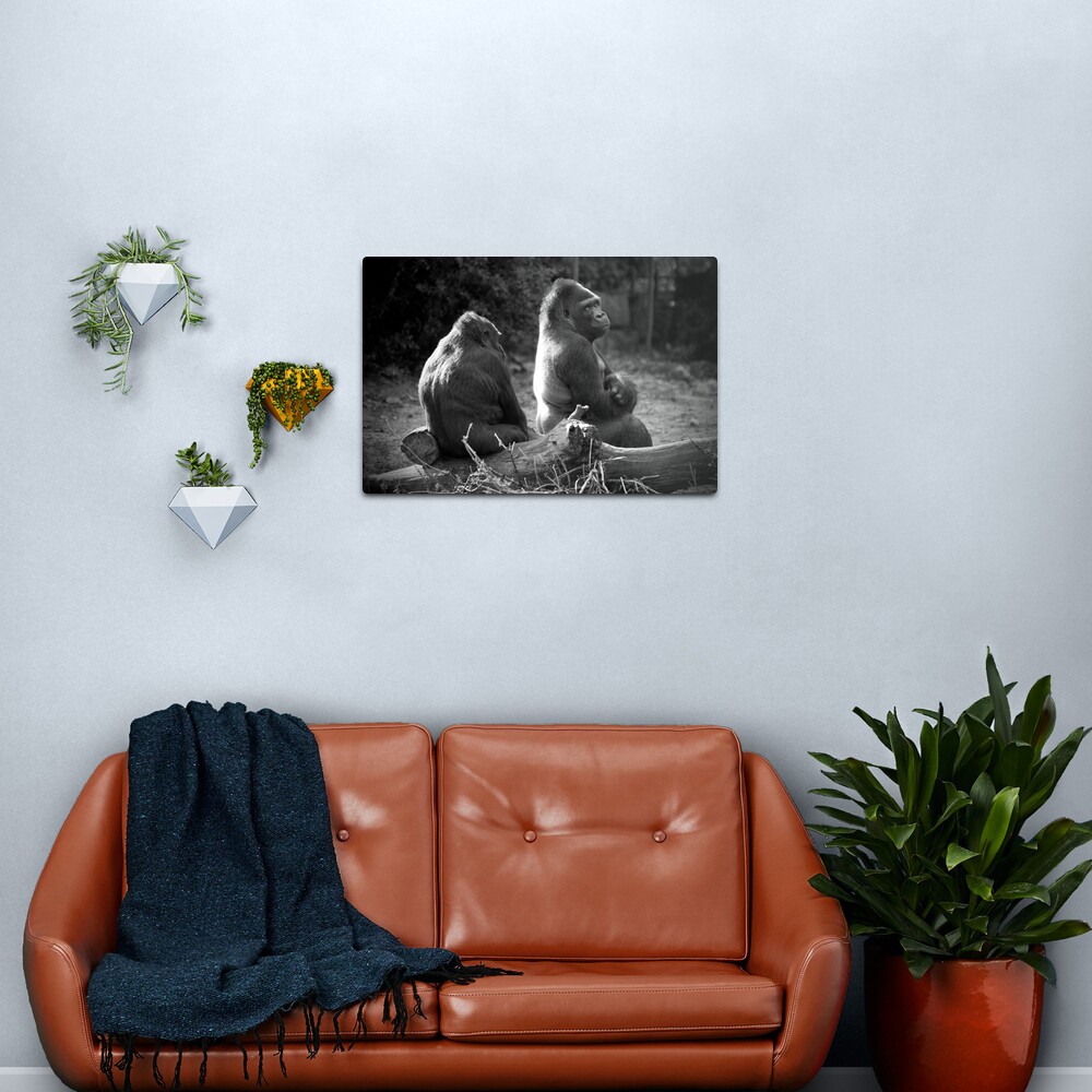 Illusions of Freedom Metal Print