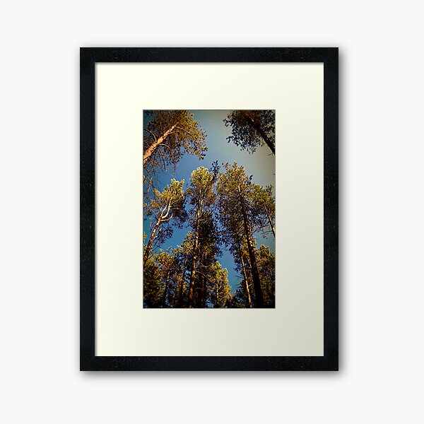 Item preview, Tree Tops. designed and sold by Aj Finan.